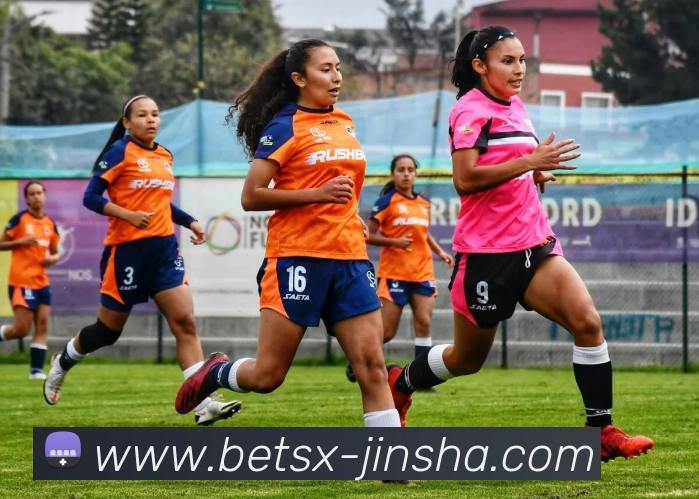 澳门金沙官网APP 封面图